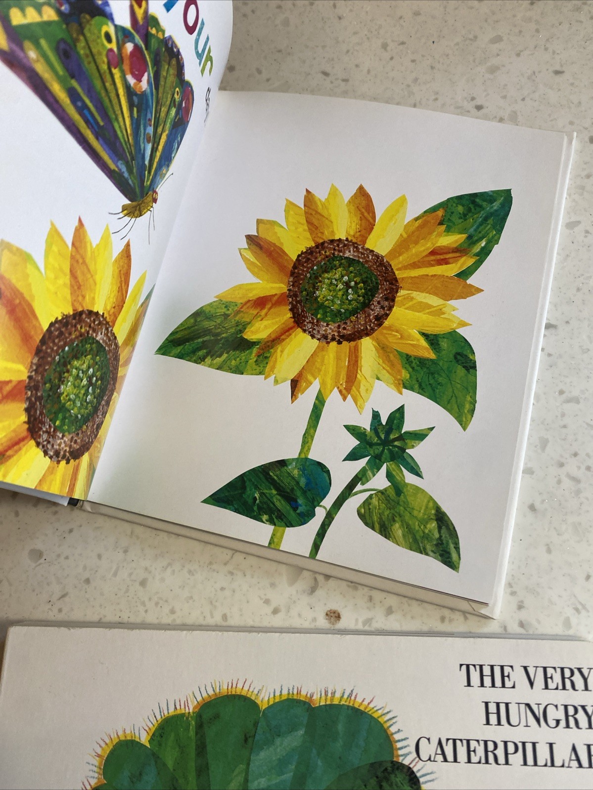 Eric Carle Books Lot 10 Big Small Quick Slow Hot Cold Birthday