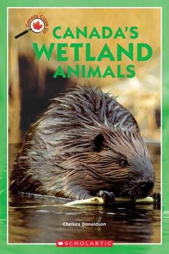 Canada Close Up: Canada&rsquo;s Wetland – Paperback, by Donaldson Chelsea – Very Good