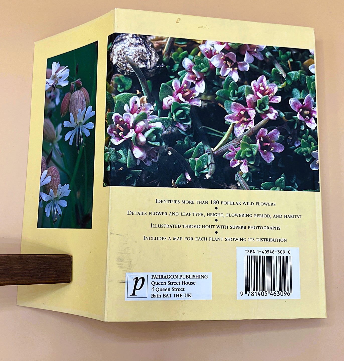 Gardener&rsquo;s Lot of 4 Books, Very Good, The Orchid Show, Etc.