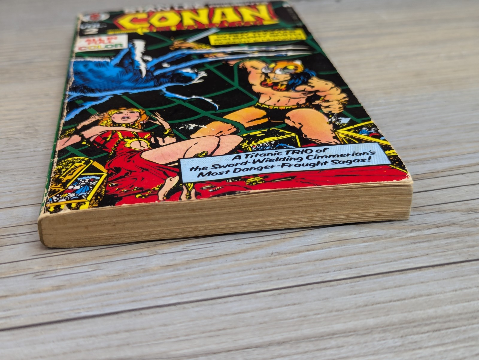 Conan the Barbarian Vol. 2 Graphic Novel Stan Lee Presents Marvel Comics 1978