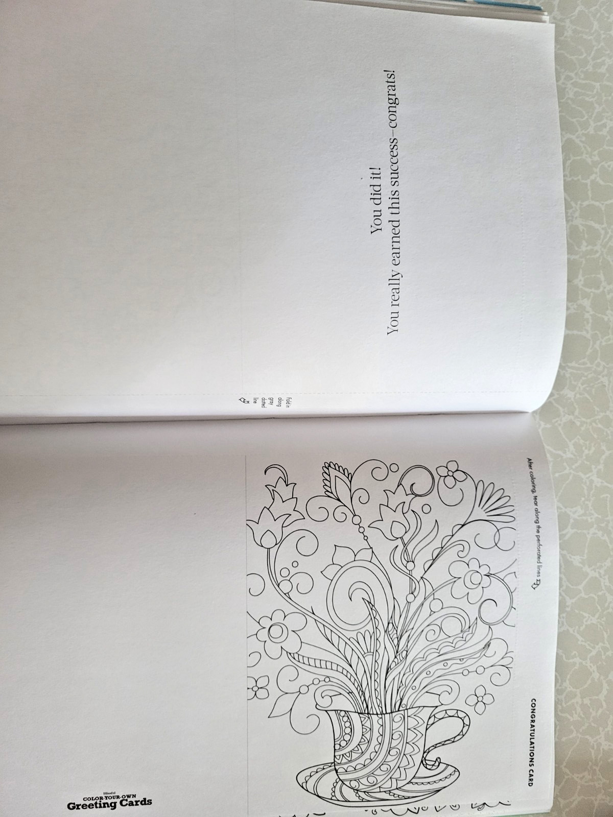 COLOR YOUR OWN GREETING CARDS Create 27 Fun & Festive Cards – Children & Adult