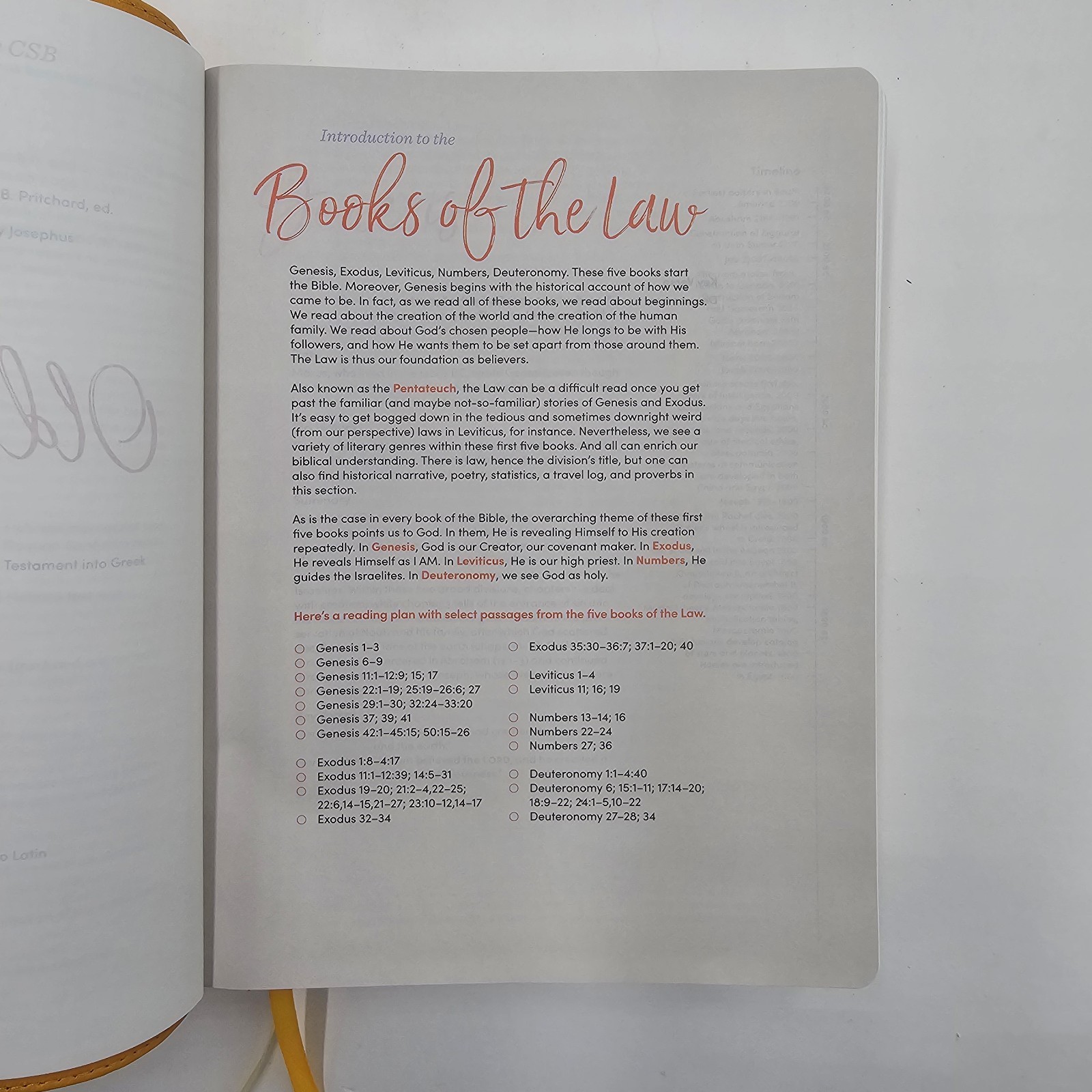 LIKE NEW | CSB Lifeway Women&rsquo;s Bible | Marigold LeatherTouch | Devotional Study