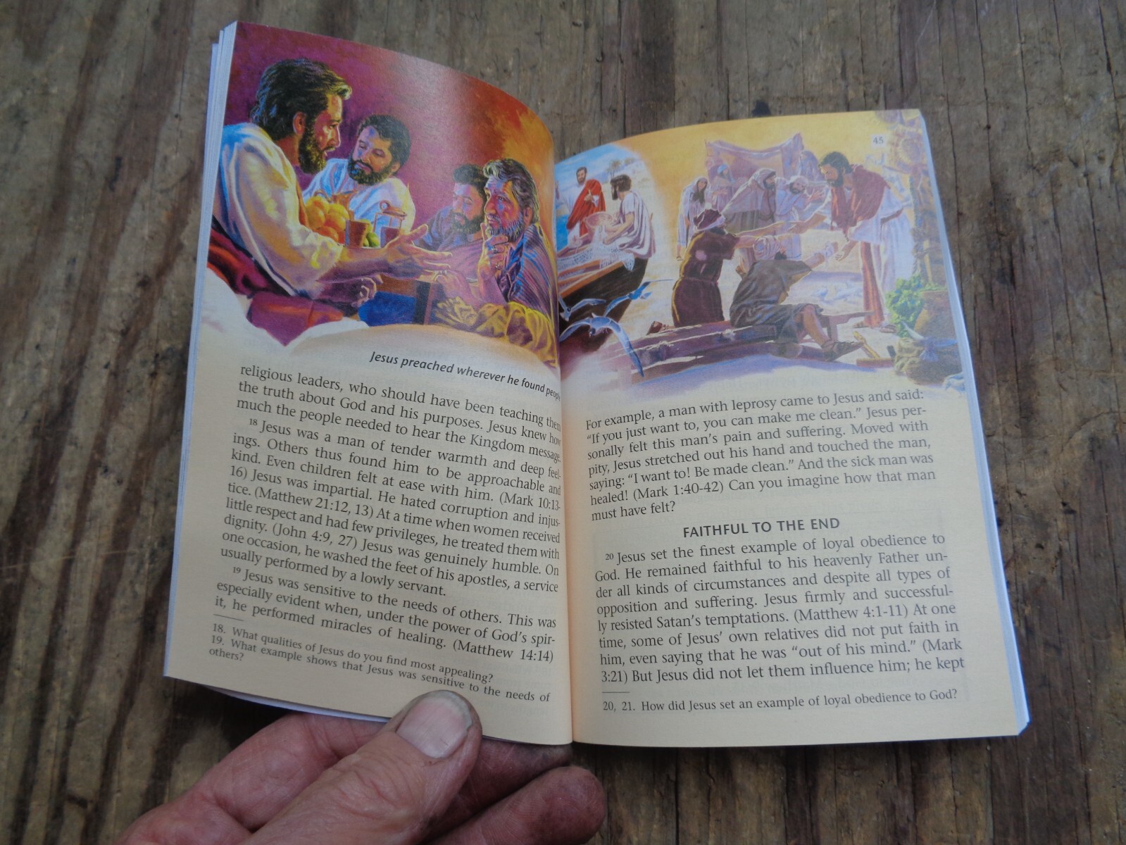 « WHAT DOES THE BIBLE REALLY TEACH? ». 2016. 223 pages. Paperback. Watchtower