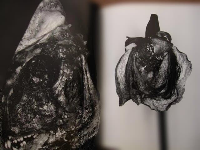 Nobuyoshi Araki « Erotos » Photo Book First edition Hardcover Japanese