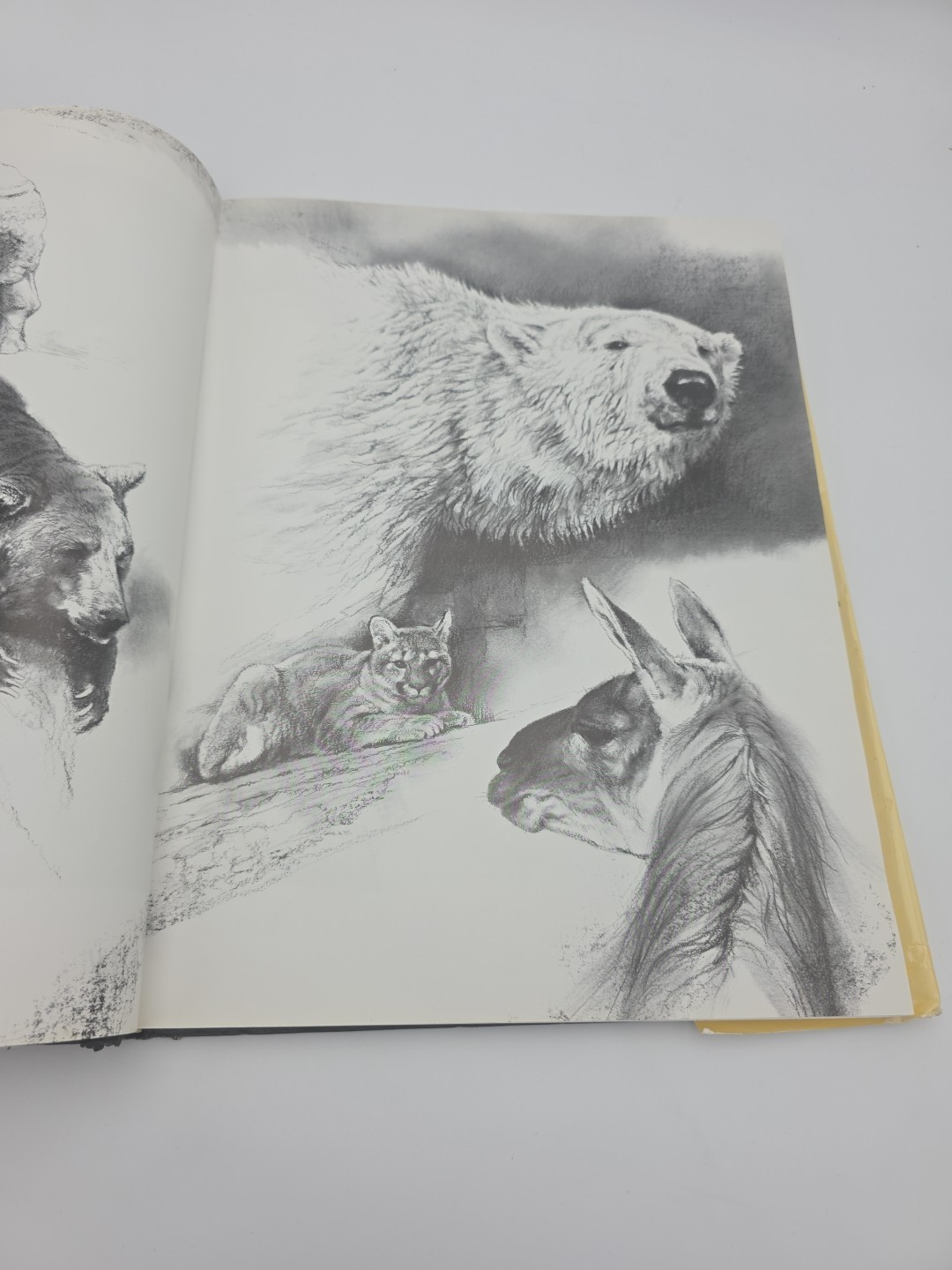 NOAH&rsquo;S ARK Animal Art by Rien Poortvliet Netherlands 1986