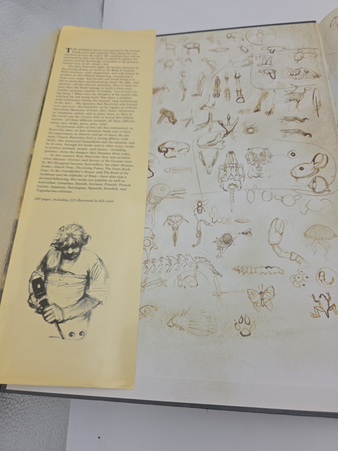 NOAH&rsquo;S ARK Animal Art by Rien Poortvliet Netherlands 1986