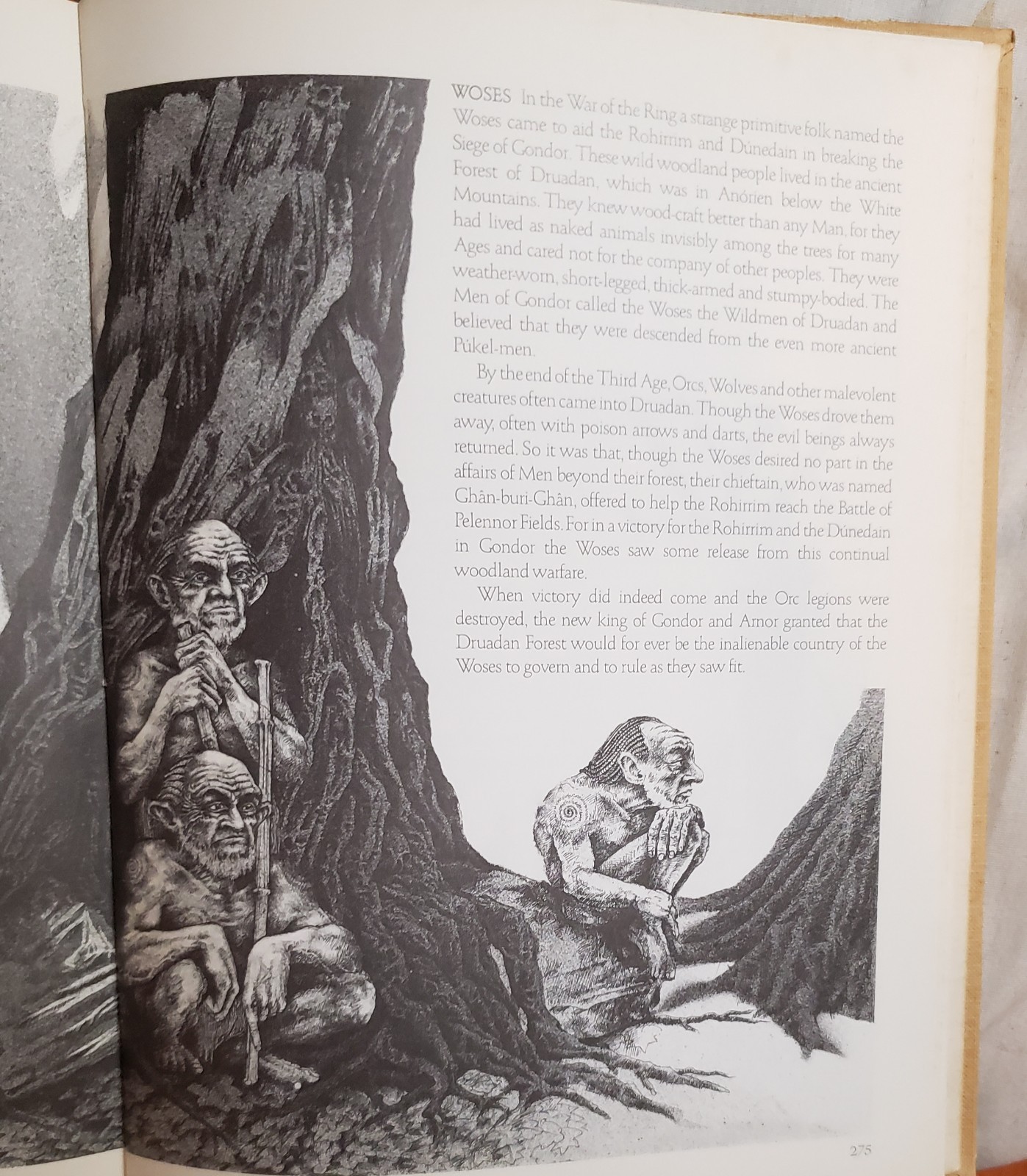 A Tolkien Bestiary by David Day HC 1979 Crescent Books 11X8.5X1&Prime; Illus 2 lb 10 o