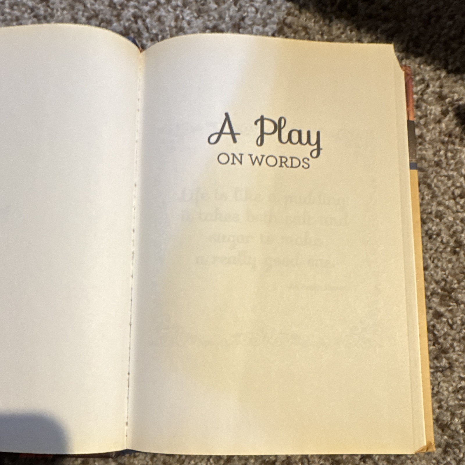 Guideposts A Play on Words HC by Emily Thomas Sugarcreek Amish Mystery