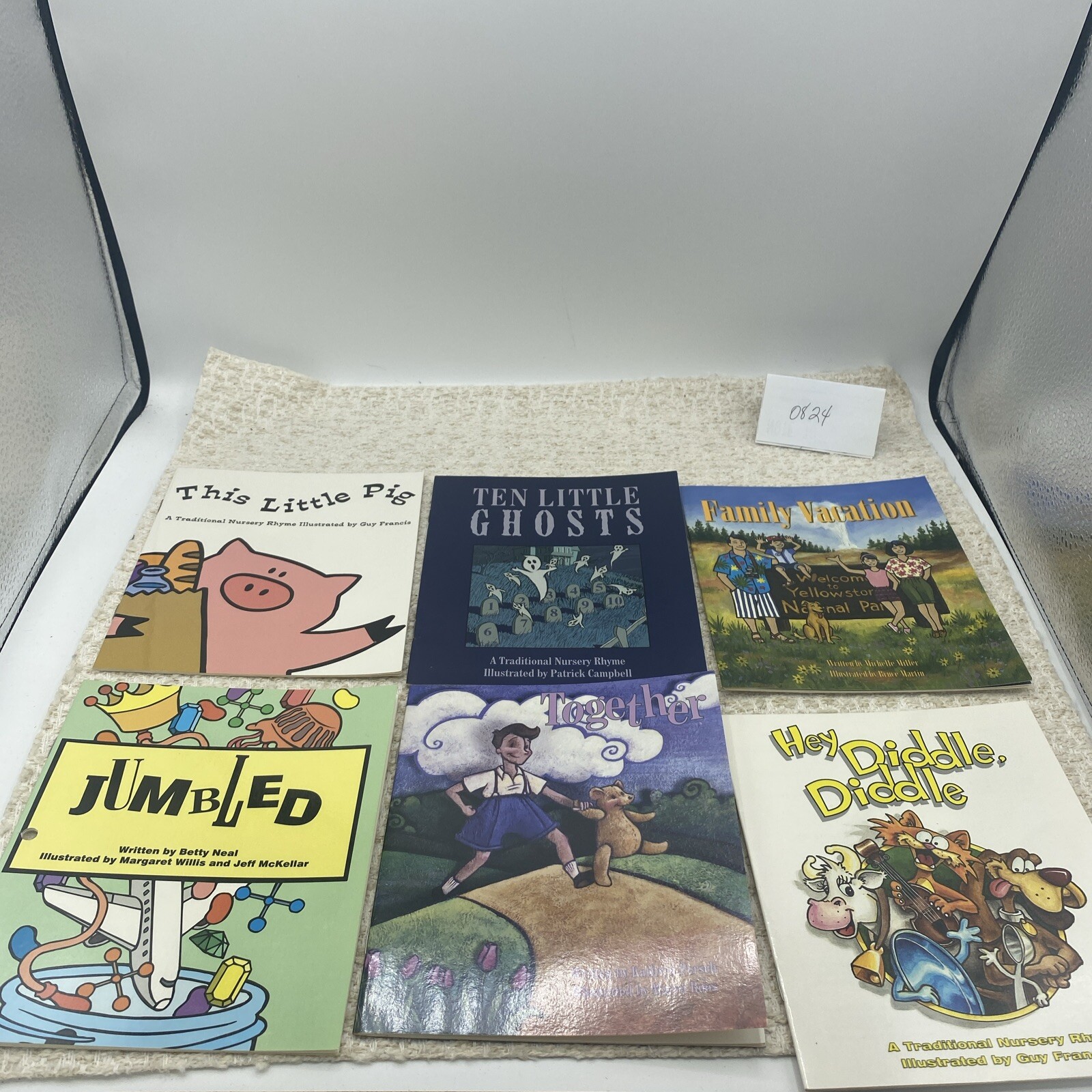 Collection of 6 Diverse Children&rsquo;s Picture Books – Educational and Storytime Fun