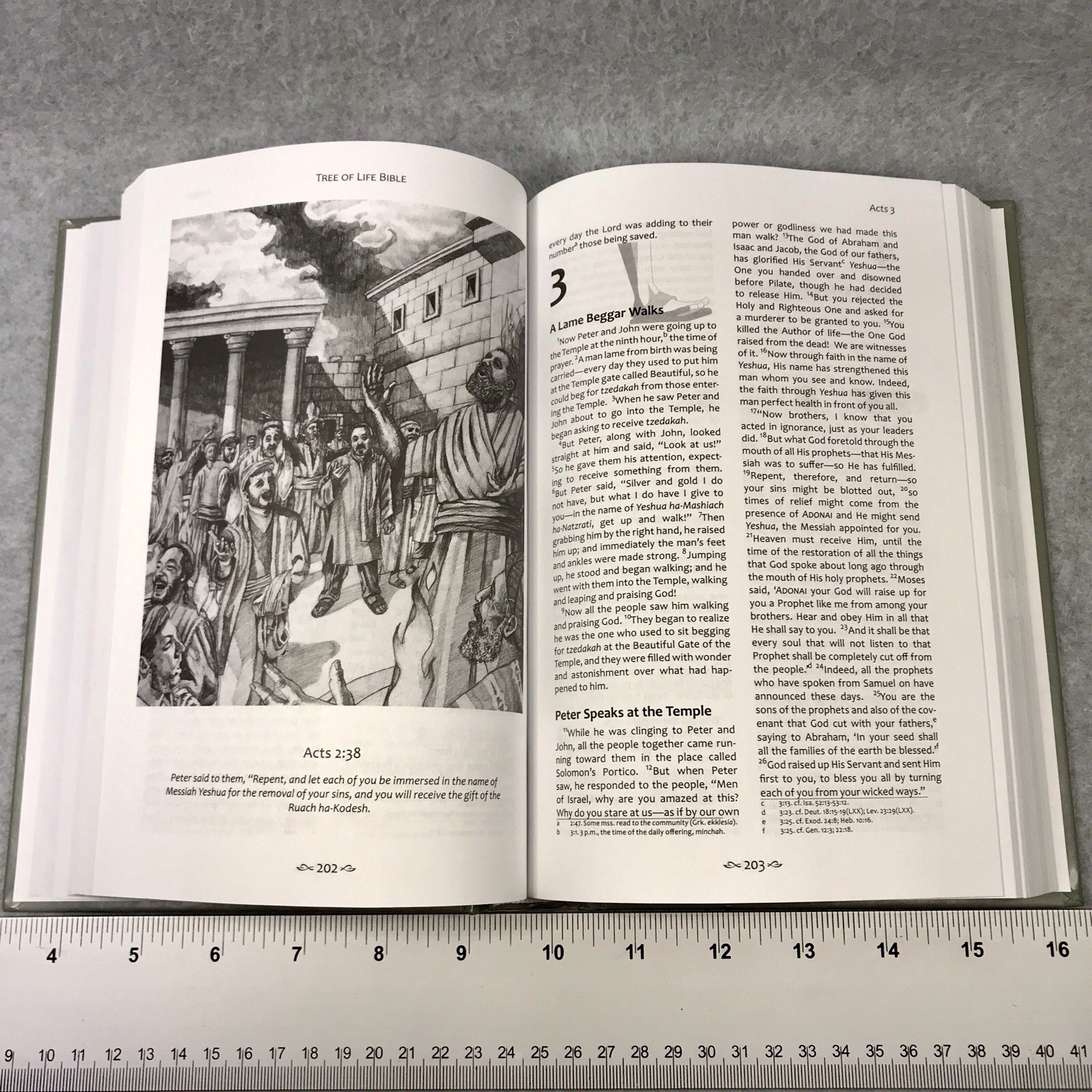 Tree of Life Bible: The New Covenant by Messianic Jewish Family Bible Hardcover