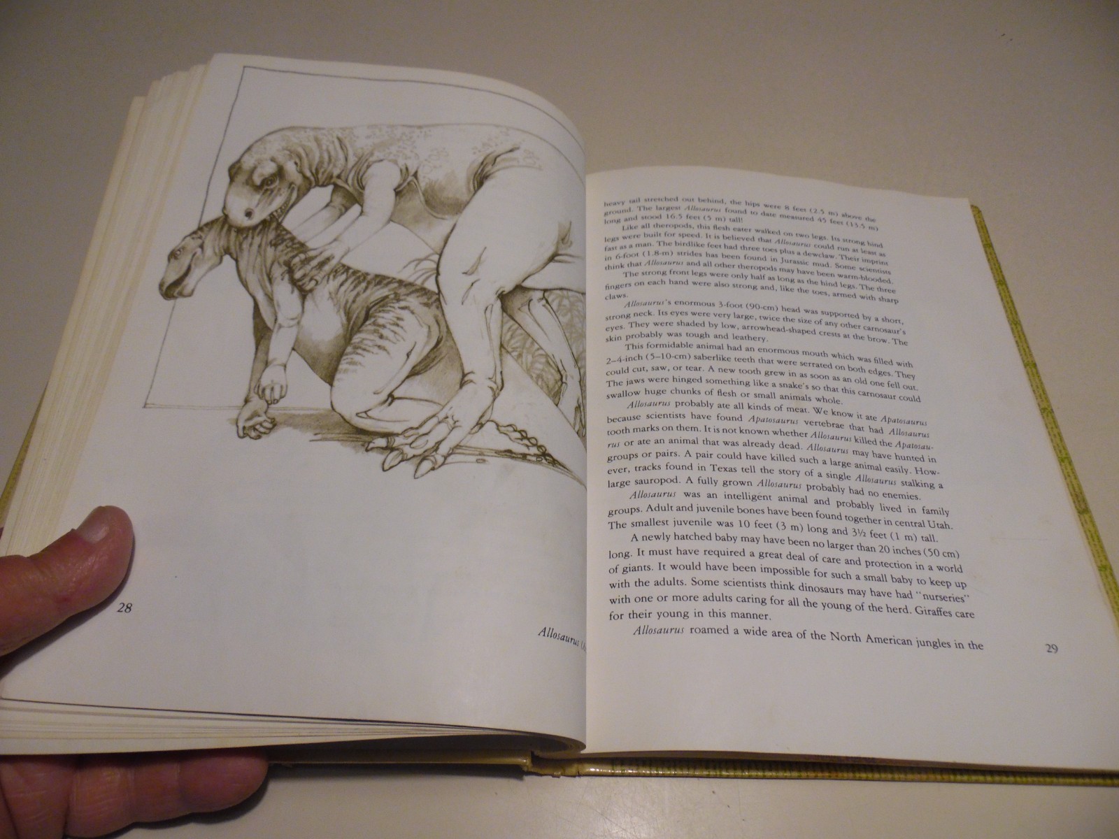 Dinosaurs of North America by Helen Roney Sattler
