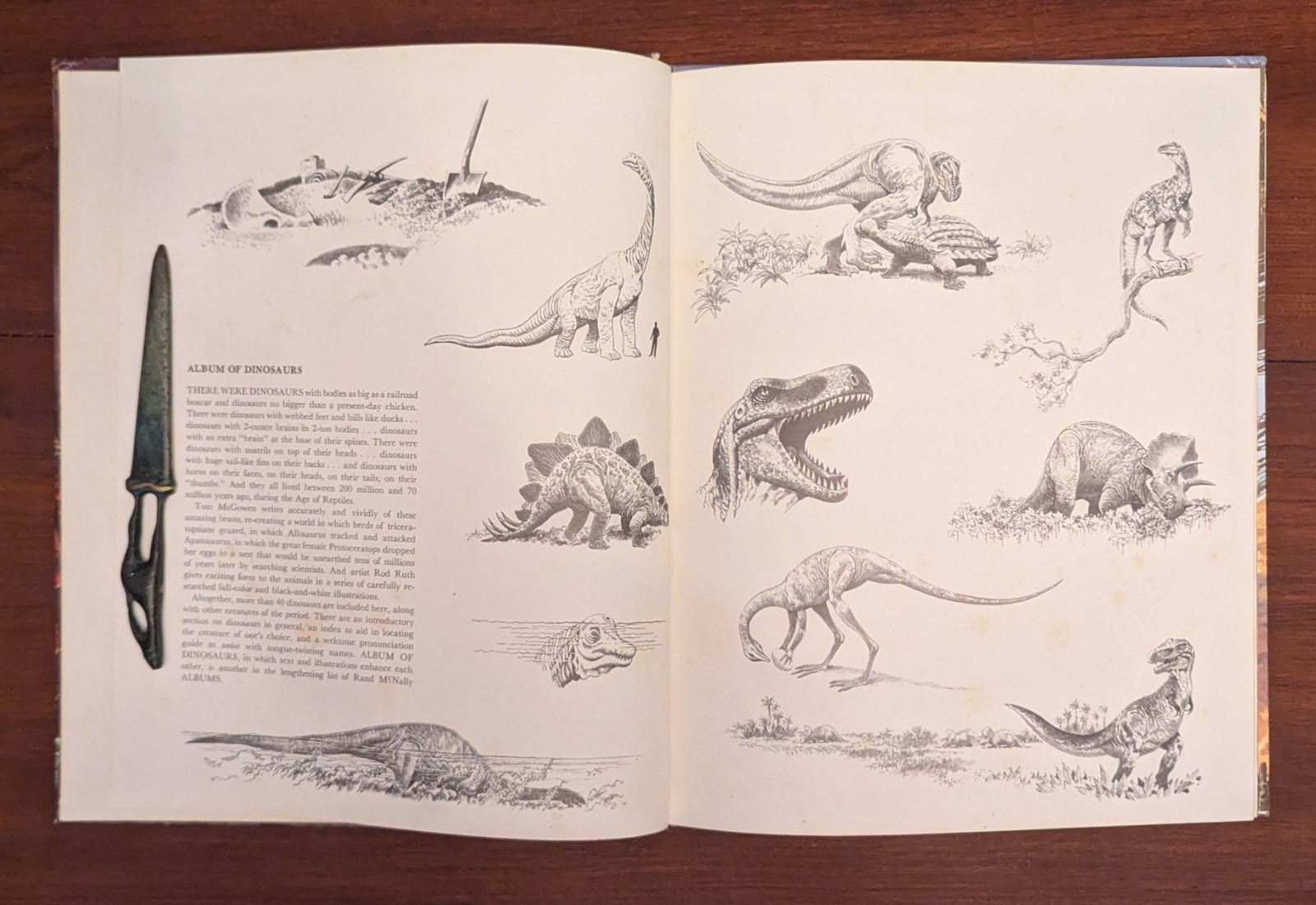 Album Of Dinosaurs Vintage Children&rsquo;s Hardcover Tom McGowen Rand McNally 1976