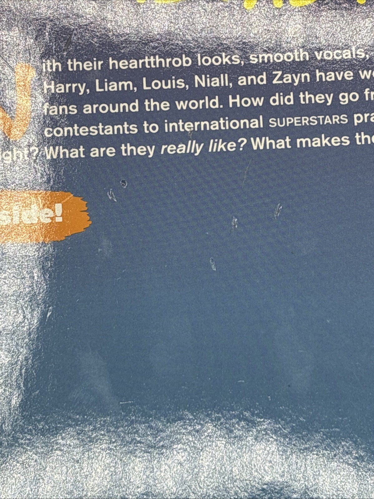 One Direction Book Lot 2 Scholastic Straight to the Top Superstars Hardcover