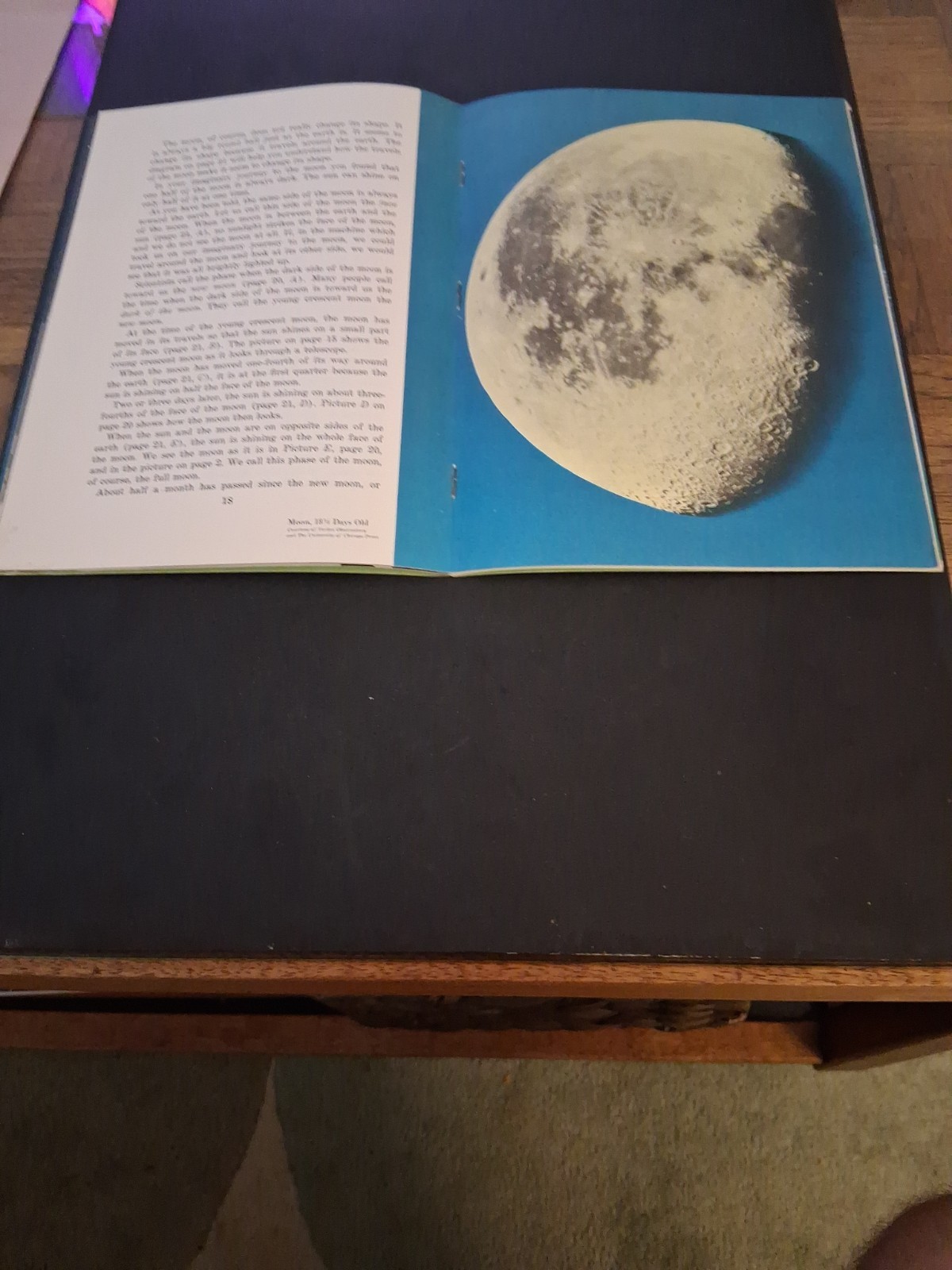 Earth&rsquo;s Nearest Neighbor Moon Book 1966 Edition Bertha Parker Paperback V. G.