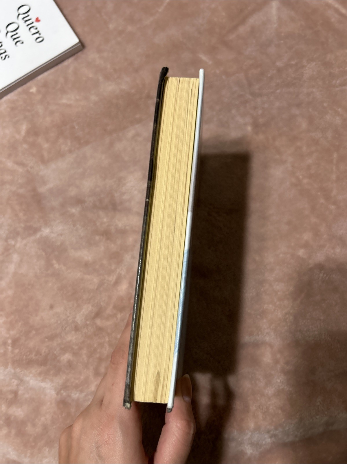 Magic Hour by Kristin Hannah (2006, Hardcover)