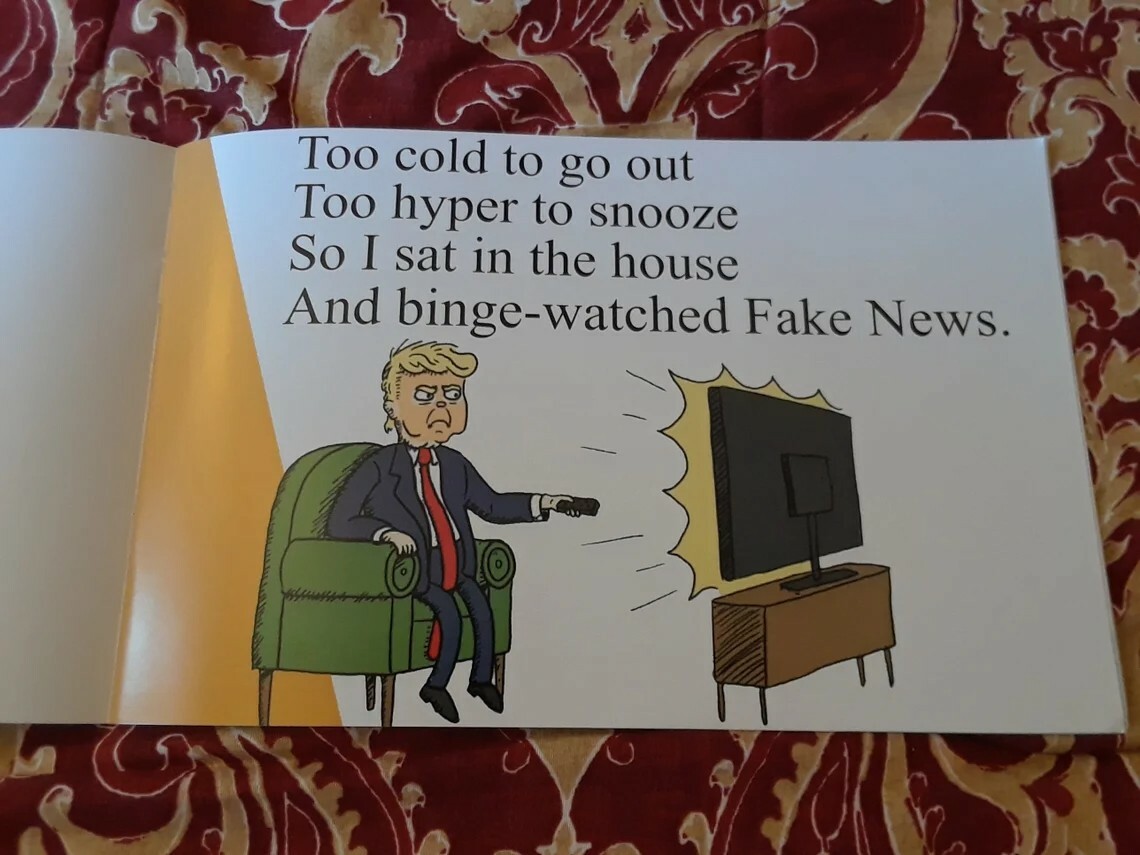 Donald Trump Childrens Book S-Holes in S-Ville. Also sell Winners Aren&rsquo;t losers 