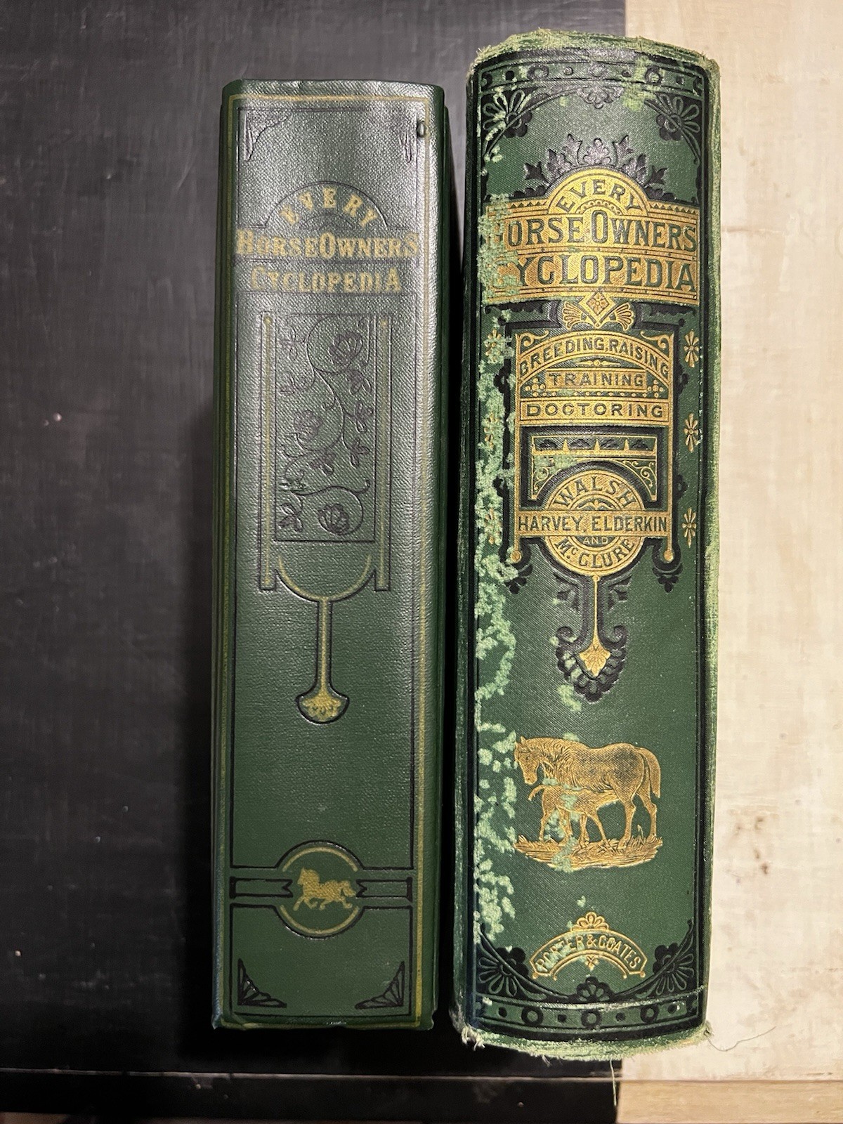 Every Horse Owners&rsquo; Cyclopedia – Diseases, And How To Cure Them 1875 & 1971