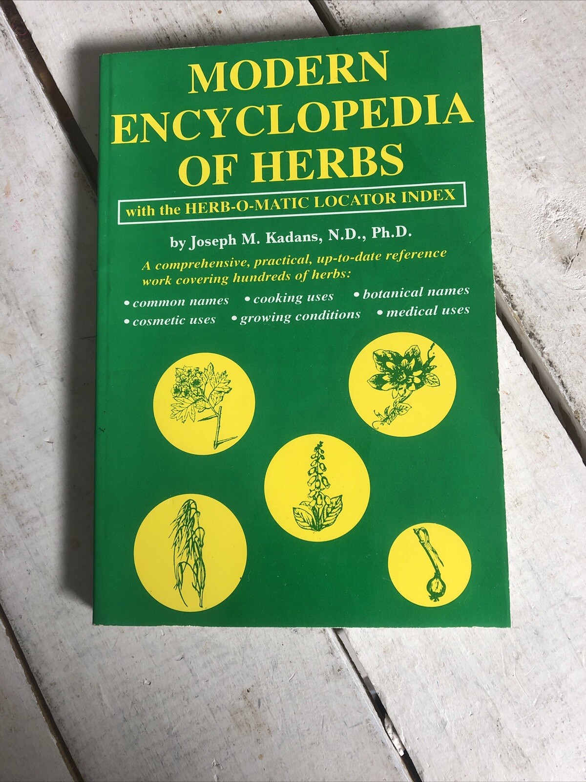 Modern Encyclopedia of Herbs | Deni Bown | Paperback | Herbal Guide