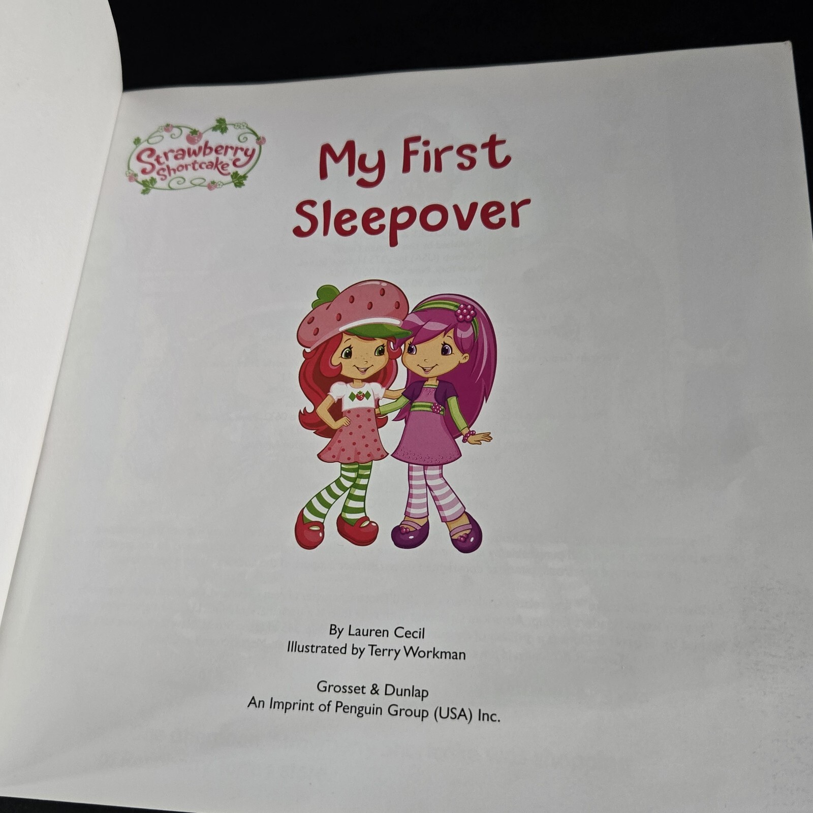 Lot Of 2 Strawberry Shortcake Books From 2010&rsquo;s