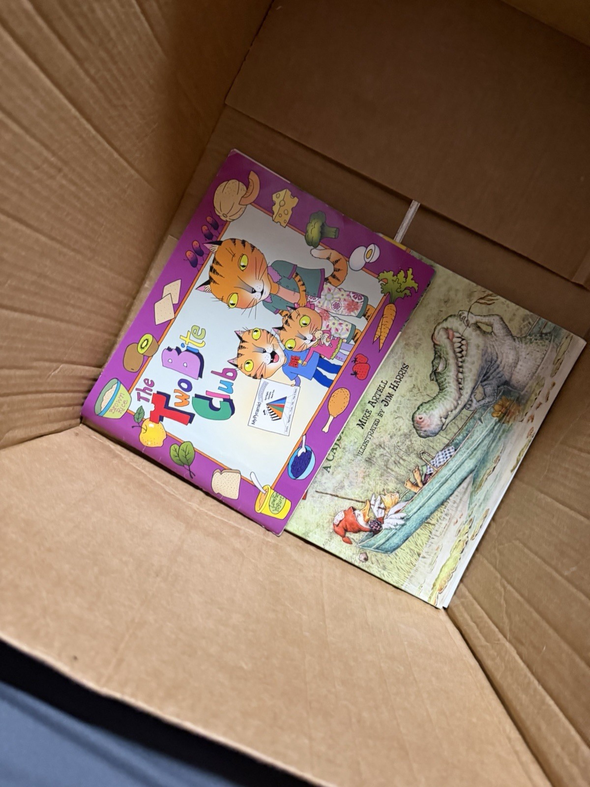 LOT 60 DOLLY PARTON IMAGINATION LIBRARY PICTURE BOOKS A Few Duplicates