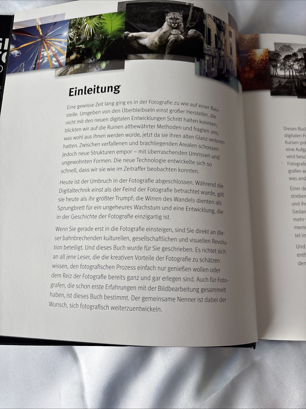Digitale Fotografie Tom Ang Hardcover Photography Guide German Edition
