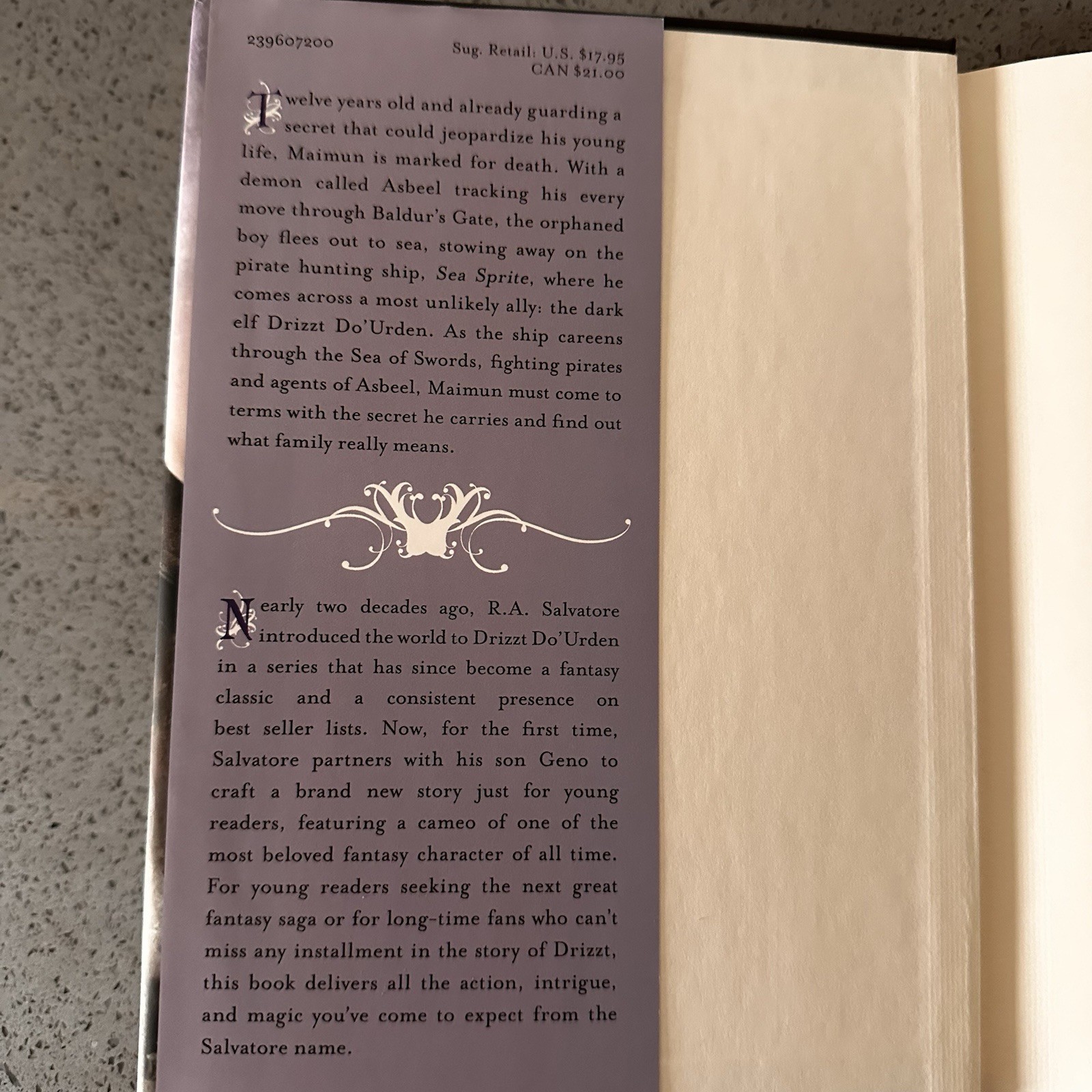 The Stowaway by R. A. Salvatore and Geno Salvatore (2008, Hardcover) 1st Edition