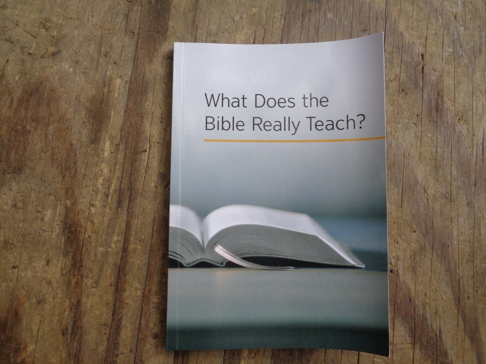 « WHAT DOES THE BIBLE REALLY TEACH? ». 2016. 223 pages. Paperback. Watchtower