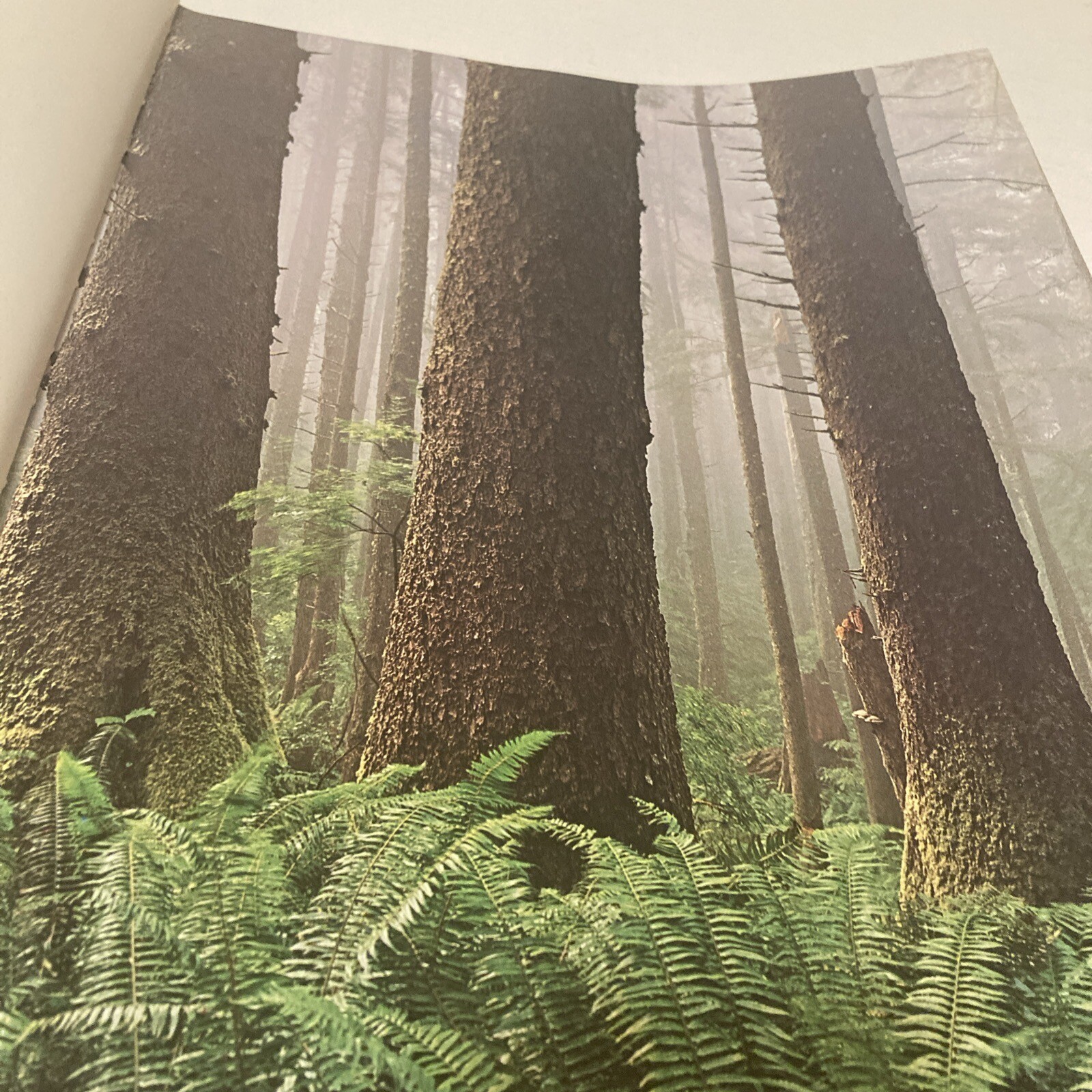 Oregon II Hardcover Large Table Top Book By Ray Atkeson With Dust Jacket…