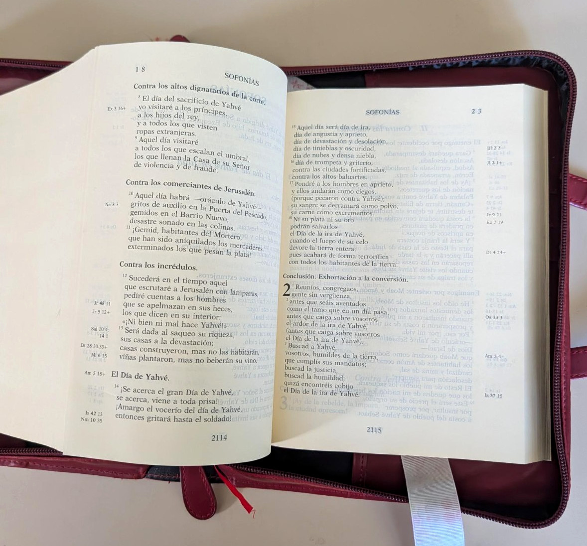 Nueva Biblia de Jerusalen Revisda y Aumentada en Letra Grande HC + carrying case