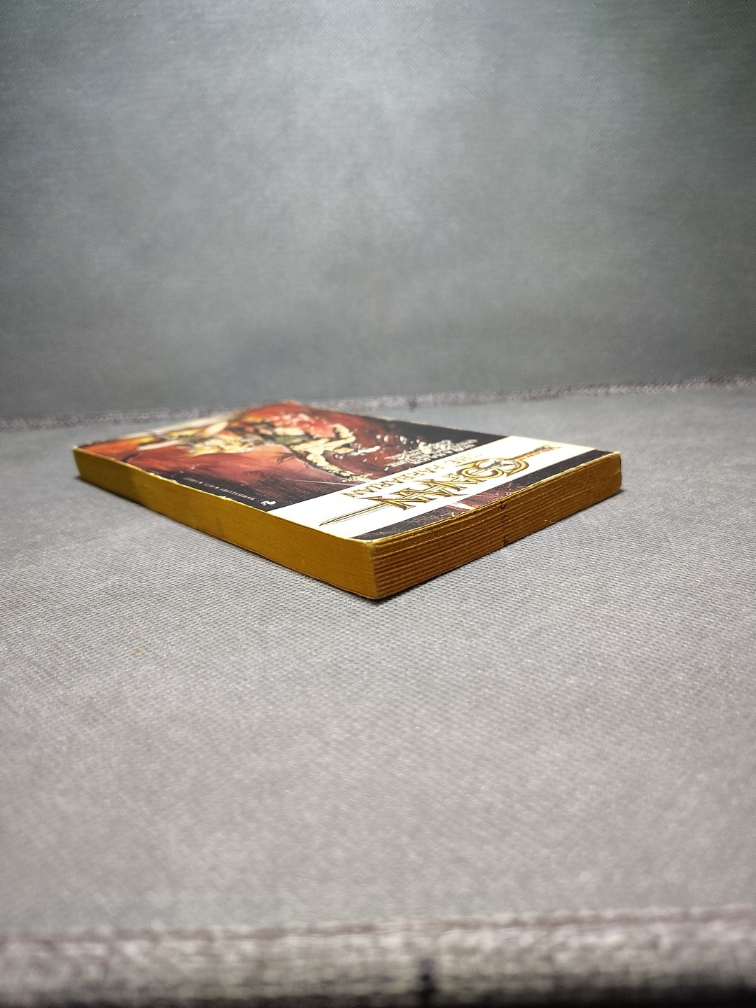 Conan the Barbarian by Lin Carter and L. Sprague de Camp (1982, Trade Paperback)