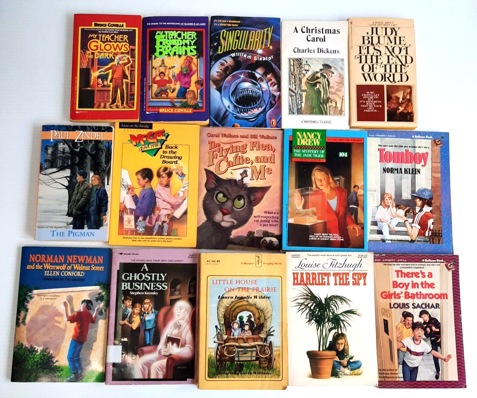 Children&rsquo;s Paperbacks Huge Lot of 46 Mostly 1980s Sweet Valley Little Bear