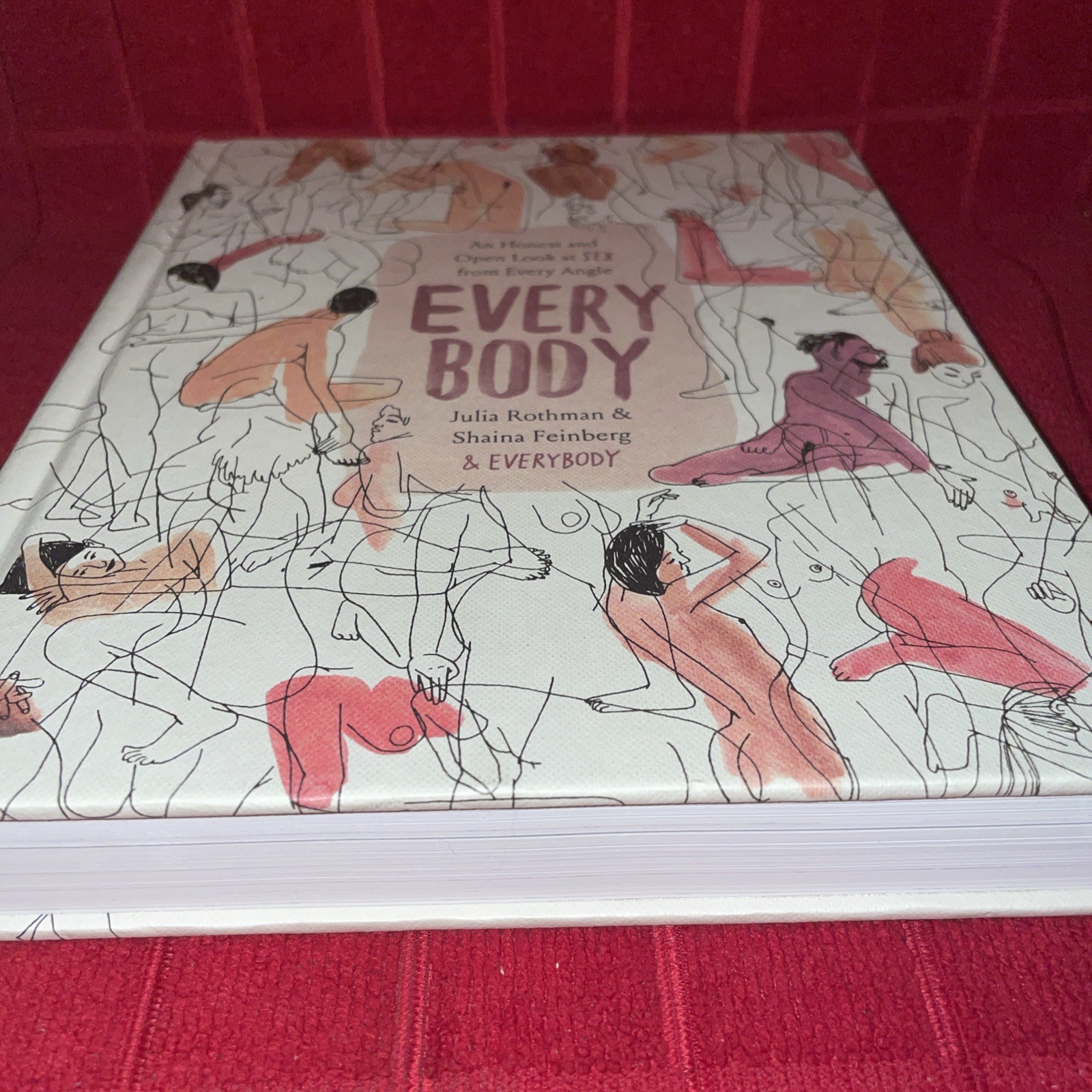Every Body : An Honest and Open Look at Sex from Every Angle Julia Rothman