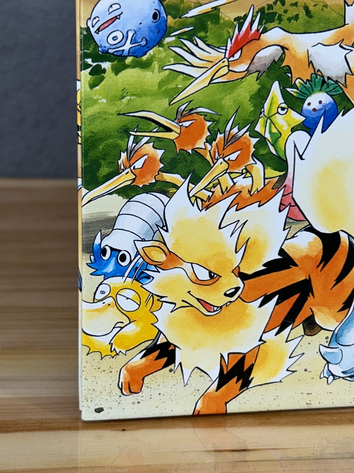 Let&rsquo;s Find Pokémon! Special Complete Edition Hardcover