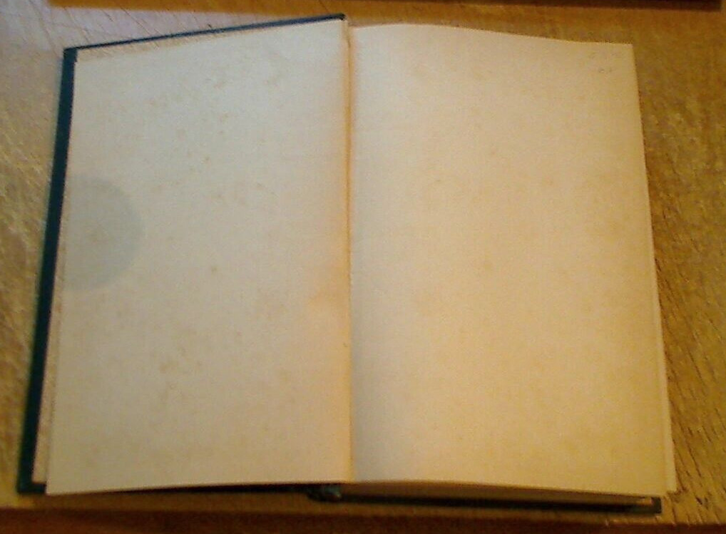 History of Jacksonville, Florida & Vicinity 1513 to 1924-Frederick Davis-1925 ed