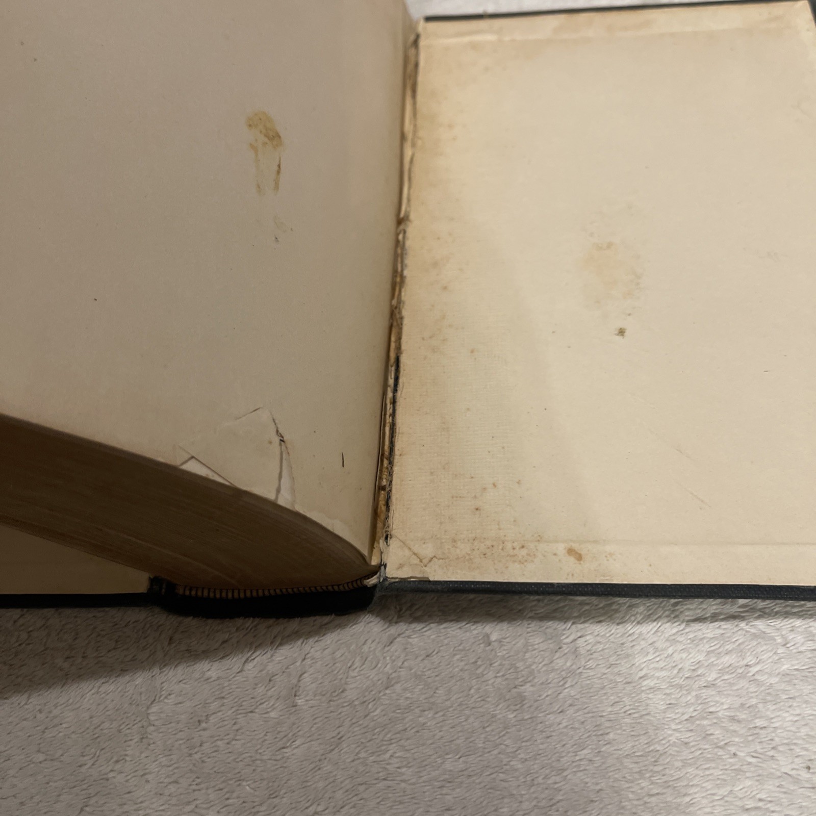 A Dictionary of the Bible – John D. Davis -The Westminster Press 1911