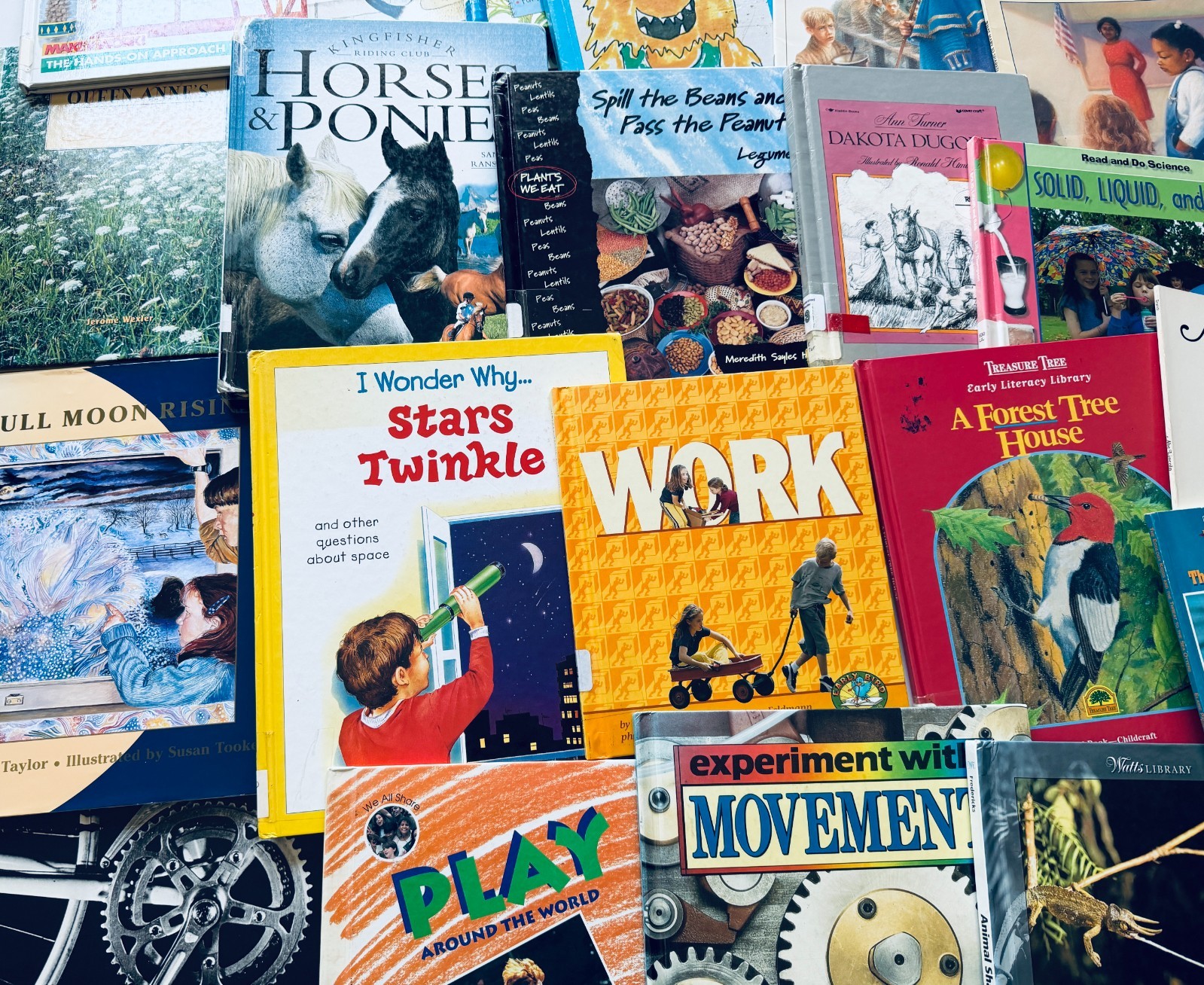 Lot of 10 Random Children&rsquo;s Books, Grades 2-3, Homeschool Library/Teacher Librar