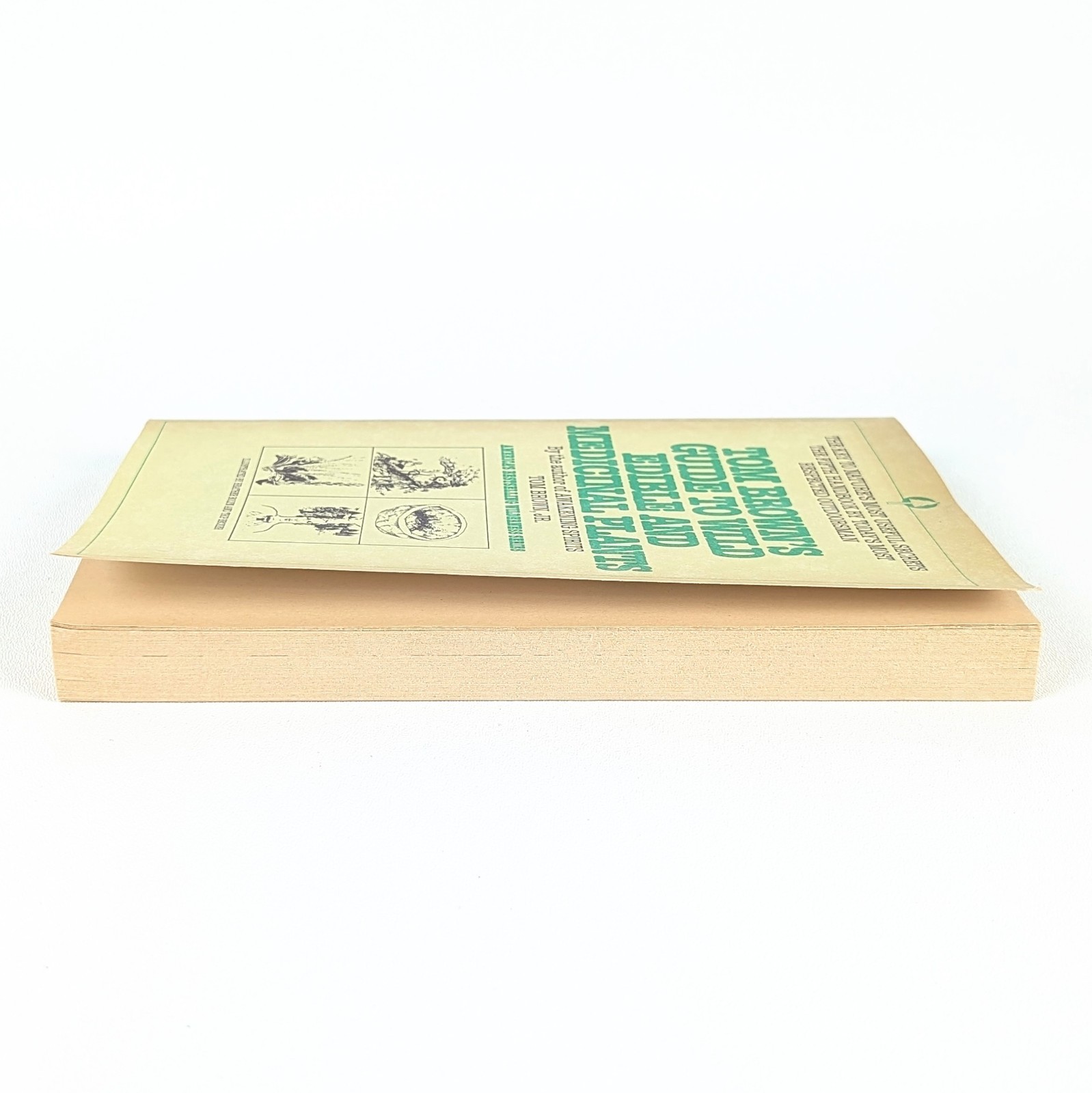 TOM BROWN&rsquo;S GUIDE TO WILD EDIBLE AND MEDICINAL PLANTS by Tom Brown Jr. – 1985 PB