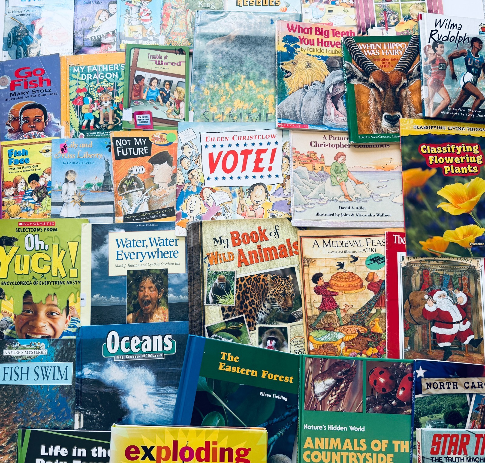 Lot of 10 Random Children&rsquo;s Books, Grades 2-3, Homeschool Library/Teacher Librar