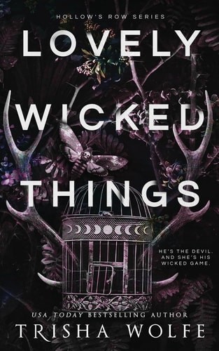 Lovely Wicked Things (Hollow&rsquo;s Row), Trisha Wolfe, Excellent Book