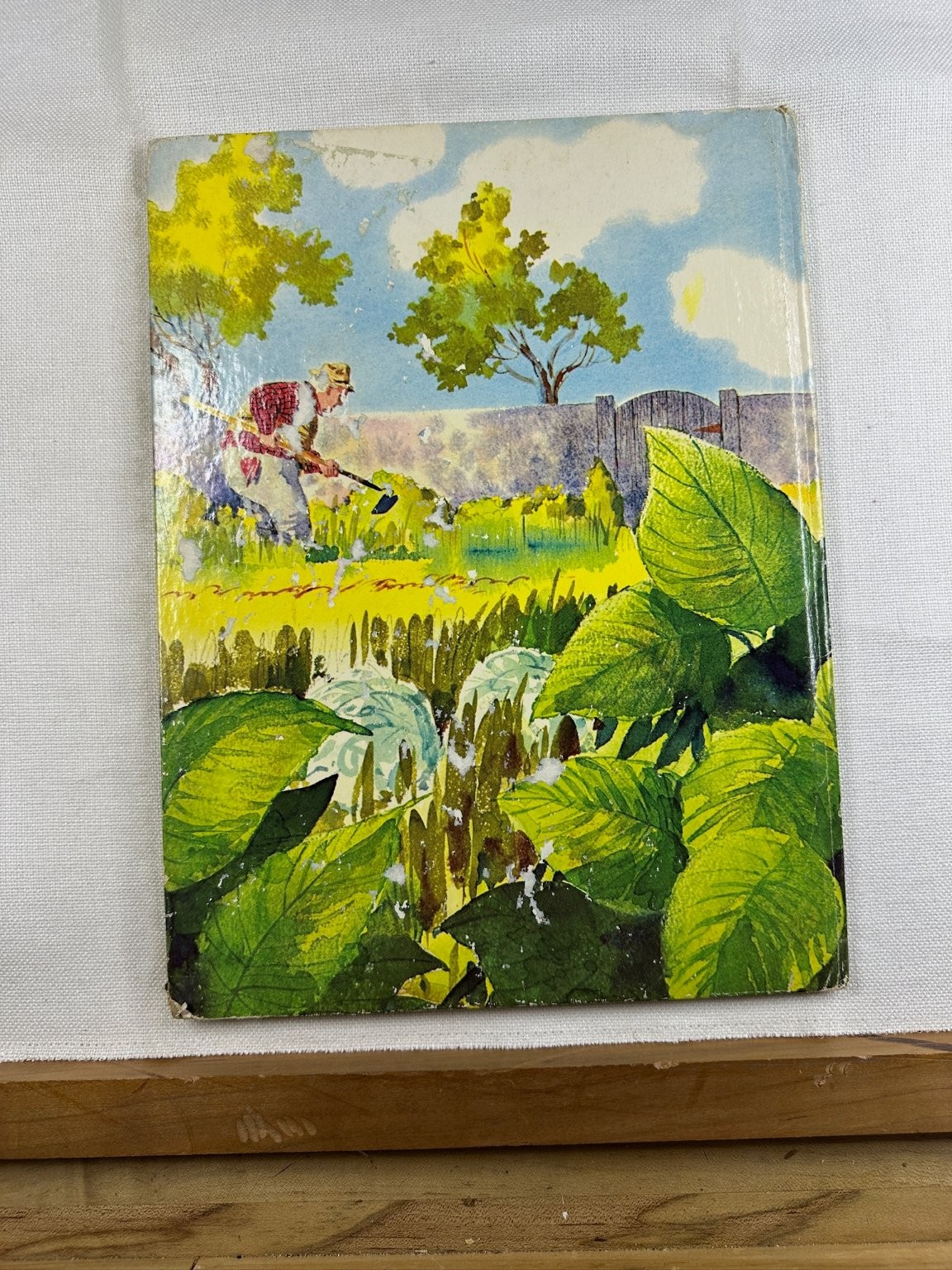 The Tale of Peter Rabbit Beatrix Potter 1974 6th Printing Rod Ruth Golden Press
