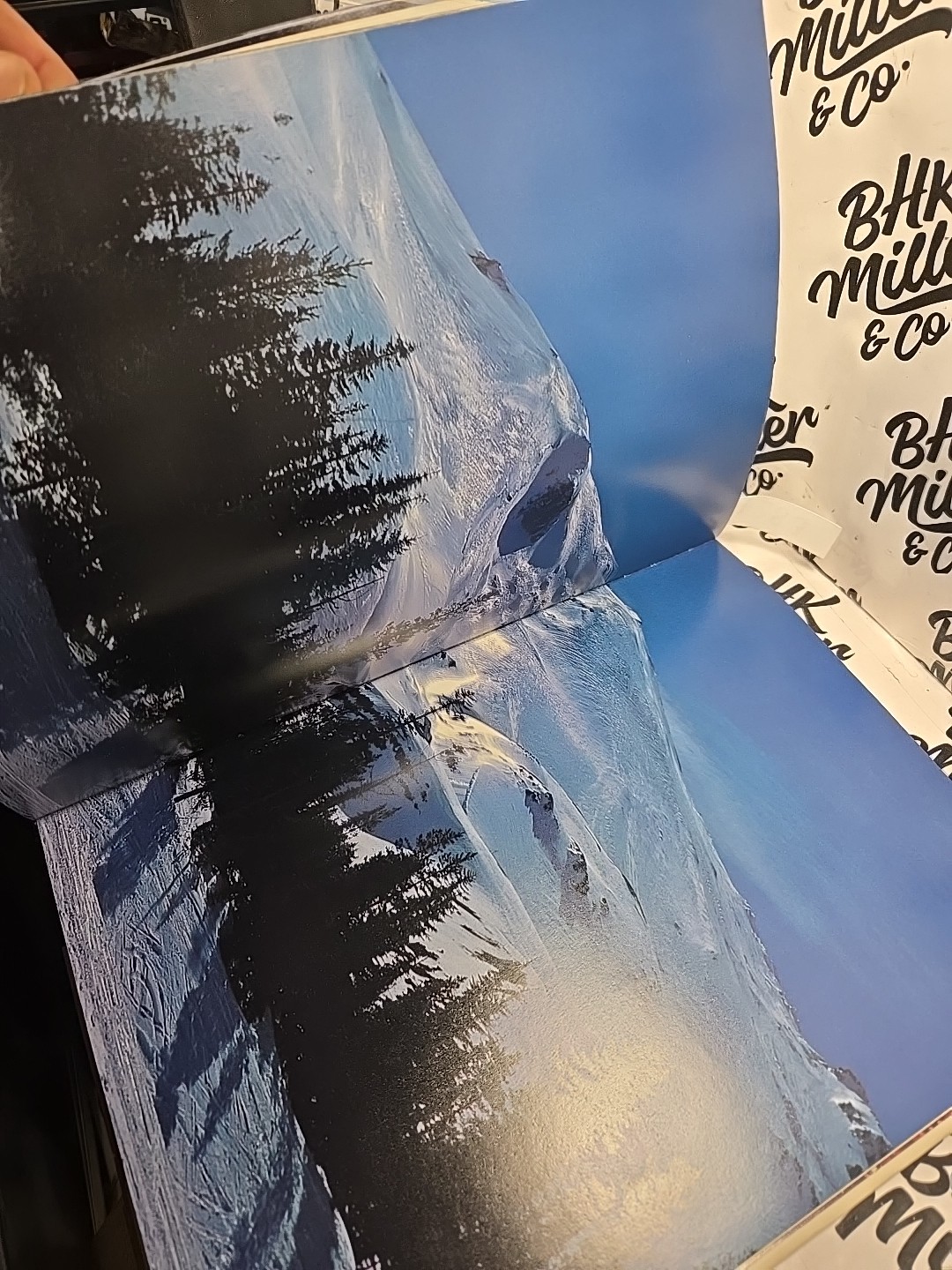 Mt St. Helens : A Changing Landscape by Chuck Williams, Ray Atkeson