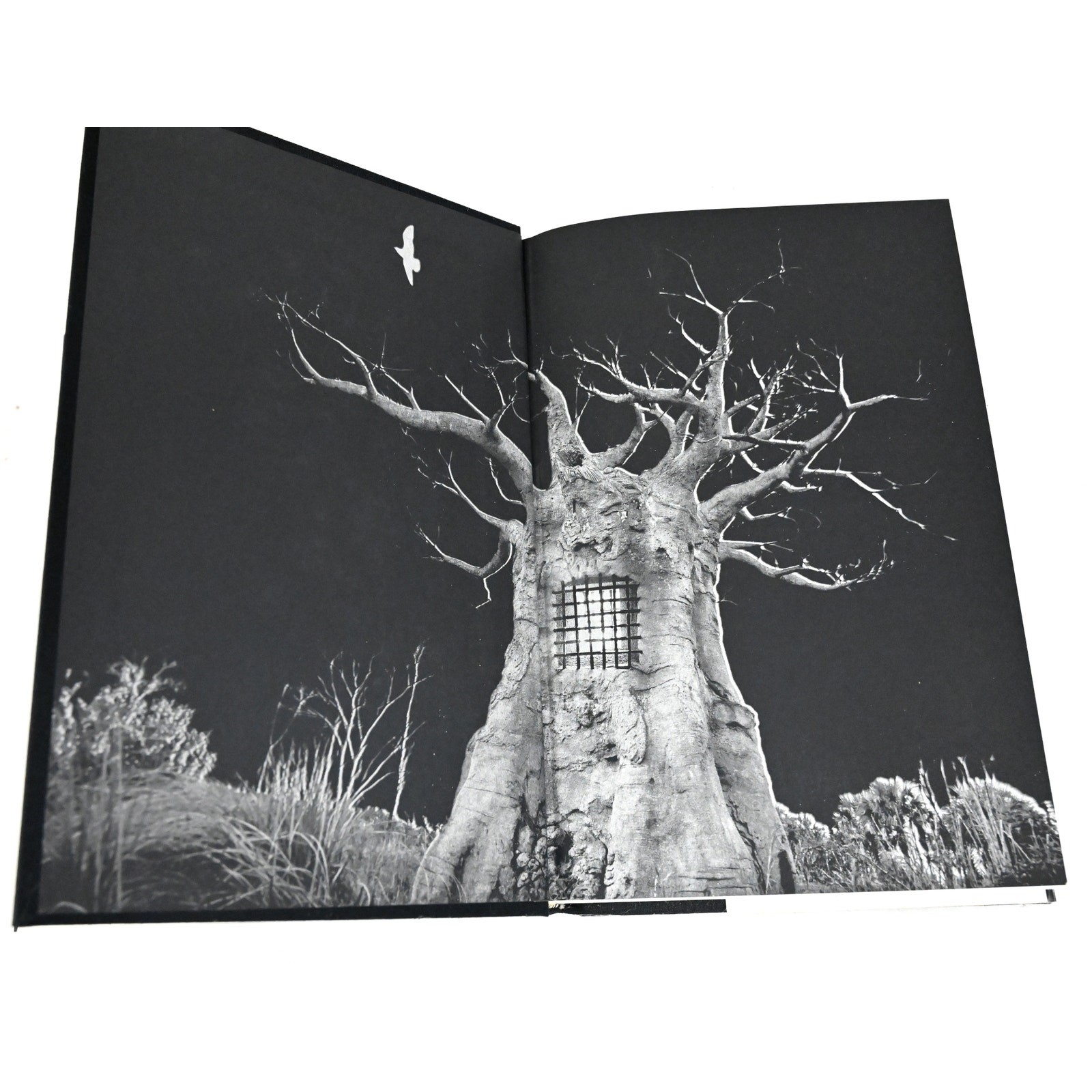Stephen King &lsquo;Salem&rsquo;s Lot 1st Illustrated Edition Doubleday