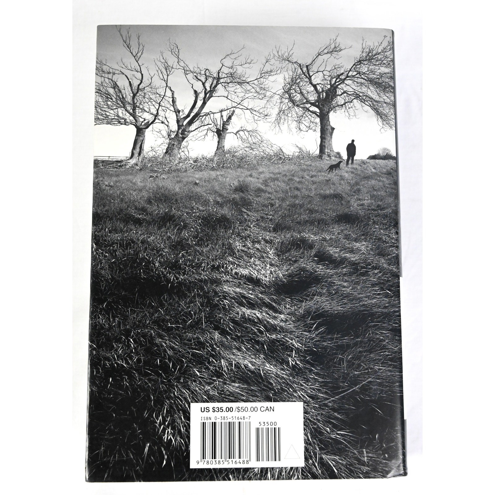 Stephen King &lsquo;Salem&rsquo;s Lot 1st Illustrated Edition Doubleday