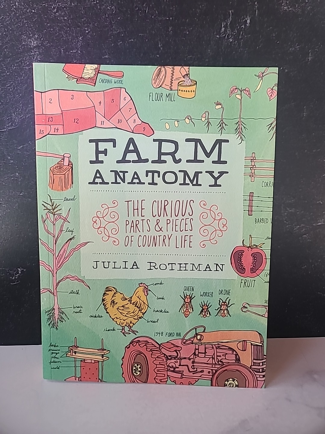 Julia Rothman Collection : Farm Anatomy, Nature Anatomy, and Food Anatomy by…