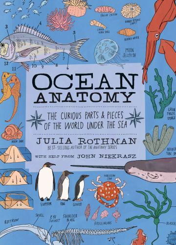 Ocean Anatomy: The Curious Parts & Pieces of the World under the Sea, Rothman, J