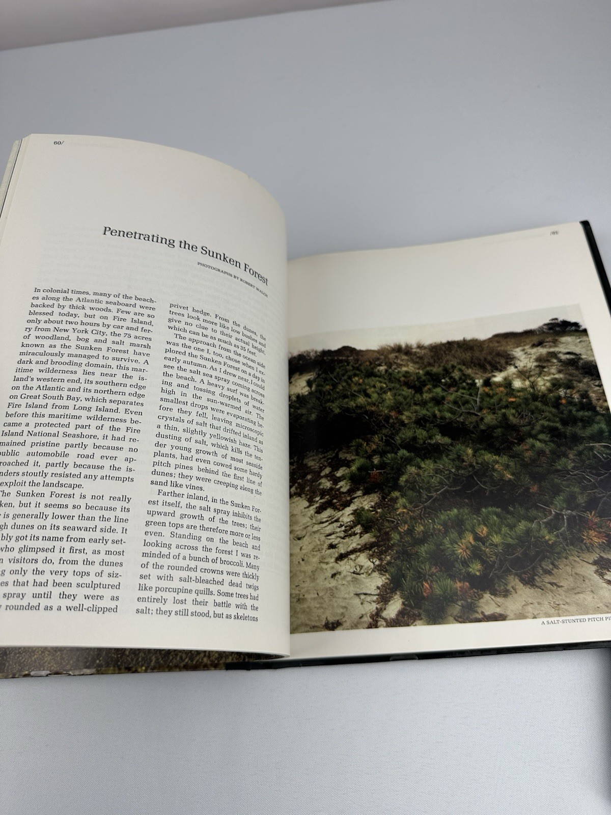 Atlantic Beaches The American Wilderness 1972 Time-Life Hardcover 184 Pages