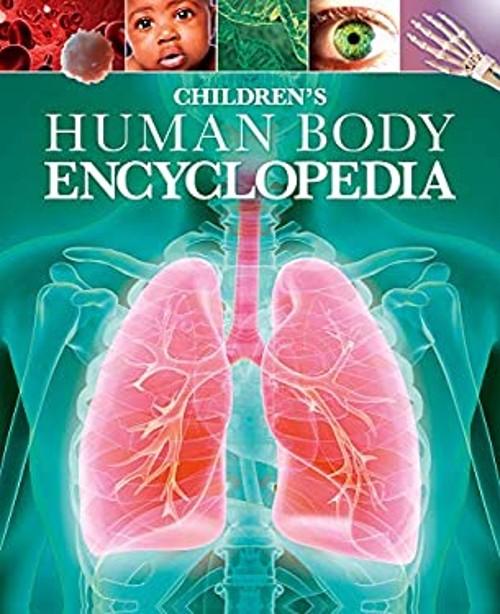 Children&rsquo;s Human Body Encyclopedia Hardcover Clare Hibbert