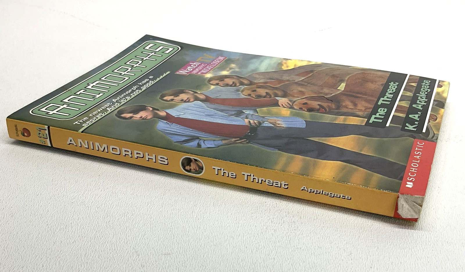 Animorphs Books Lot 42 Vintage Series Set & Megamorphs Applegate 90s Scholastic