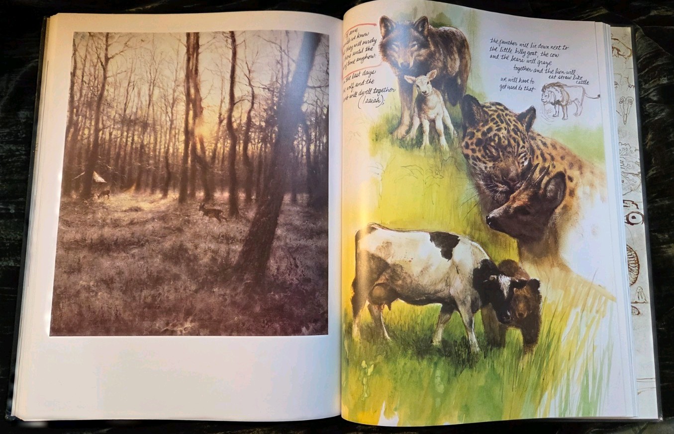 NOAH&rsquo;S ARK Animal Art by Rien Poortvliet 1986