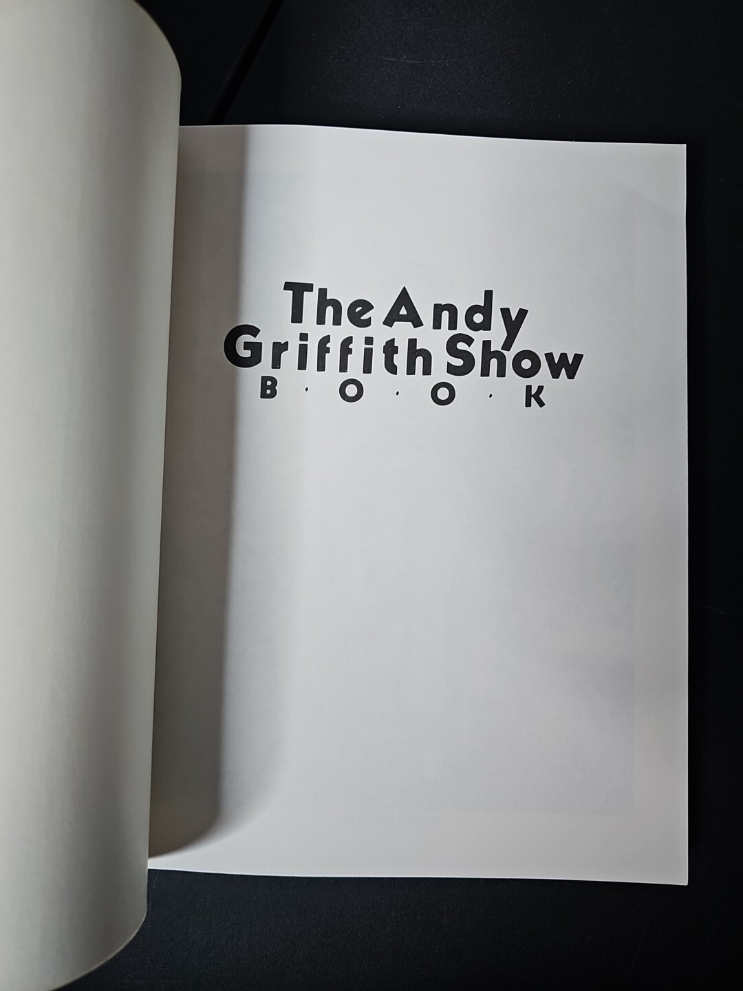 The Andy Griffith Show Complete Guide Book by Ken Beck & Jim Clark (1985)